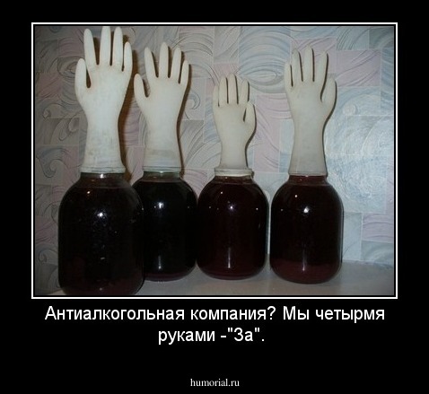 Антиалкогольная компания? Мы четырмя руками -"За".