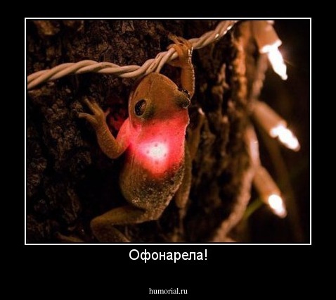 Офонарела!