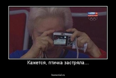 Кажется, птичка застряла...