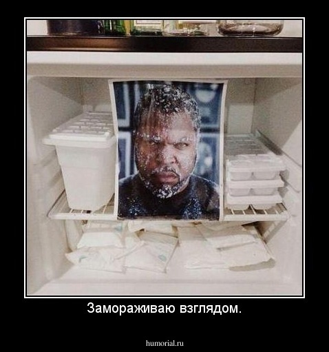 Замораживаю взглядом.