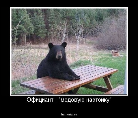 Официант : "медовую настойку"