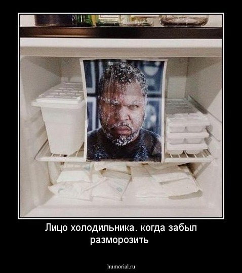 Лицо холодильника. когда забыл разморозить