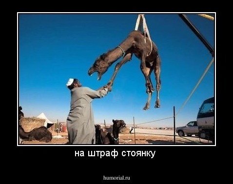 на штраф стоянку 