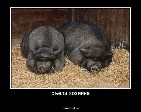 съели хозяина