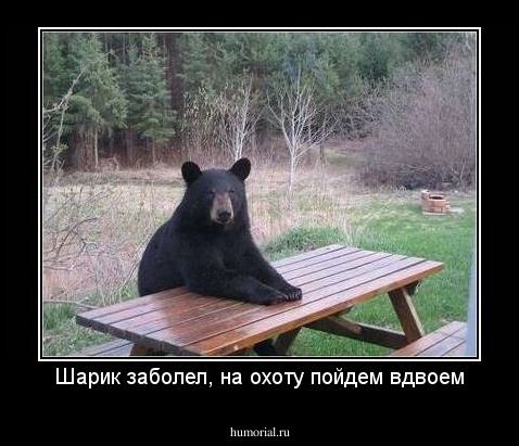 Шарик заболел, на охоту пойдем вдвоем