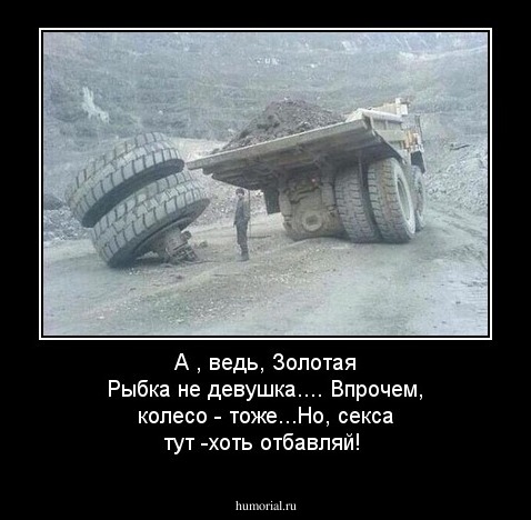 А , ведь, Золотая Рыбка не девушка....
Впрочем, колесо - тоже...Но, секса тут -хоть отбавляй! 