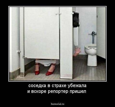 соседка в страхе убежала и вскоре репортер пришел