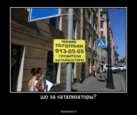 шо за катализаторы?