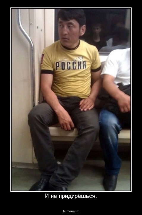 И не придирёшься.