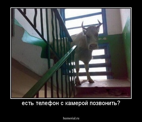 есть телефон с камерой позвонить?