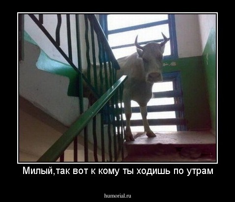 Милый,так вот к кому ты ходишь по утрам