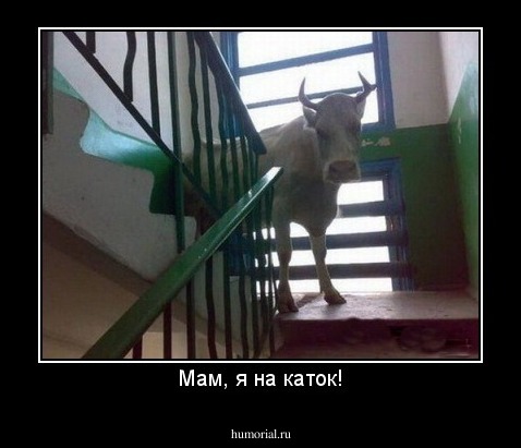 Мам, я на каток!