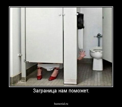 Заграница нам поможет.