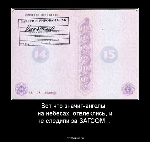 Вот что значит-ангелы , на небесах, отвлеклись, и не следили за ЗАГСОМ...