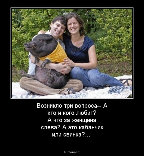 Возникло три вопроса--
А кто и кого любит?
А что за женщина слева?
А это кабанчик или свинка?...