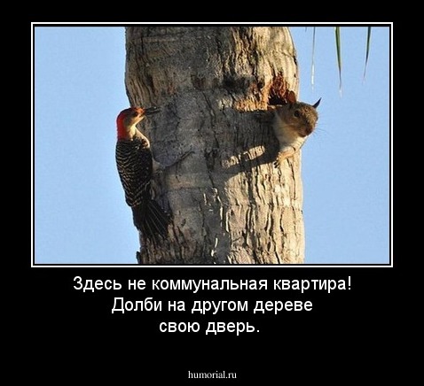 Здесь не коммунальная квартира! Долби на другом дереве свою дверь.