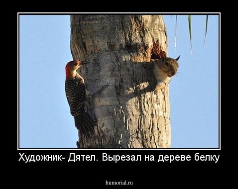 Художник- Дятел. Вырезал на дереве белку