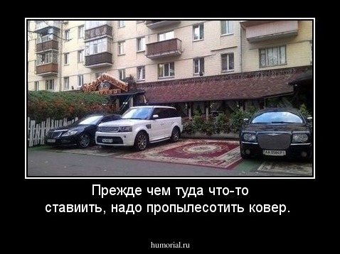 Прежде чем туда что-то  ставиить, надо пропылесотить ковер.
