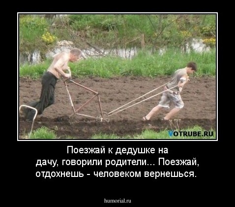 Поезжай к дедушке на дачу, говорили родители... Поезжай, отдохнешь - человеком вернешься.