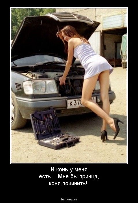 И конь у меня есть... Мне бы принца, коня починить!