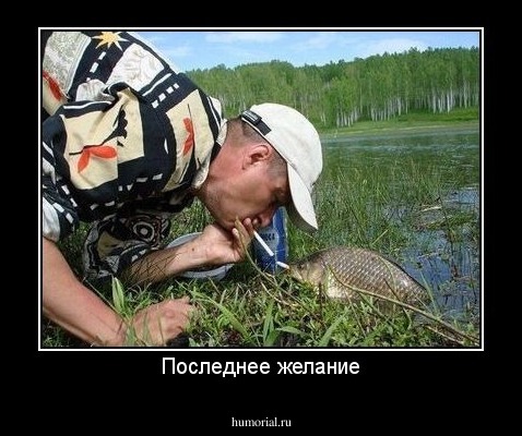 Последнее желание