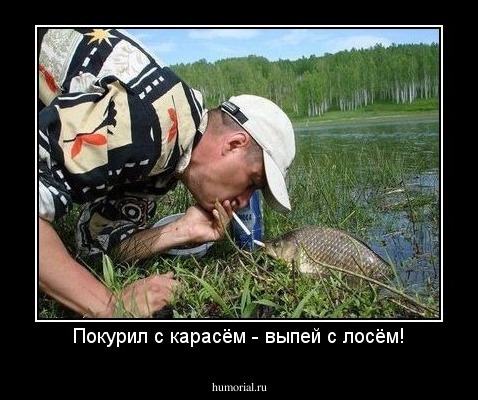 Покурил с карасём - выпей с лосём!