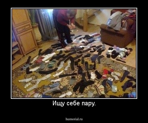 Ищу себе пару.