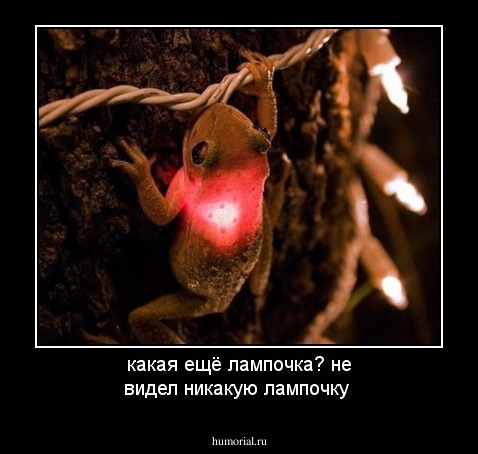 какая ещё лампочка? не видел никакую лампочку
