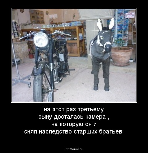 на этот раз третьему сыну досталась камера , на которую он и снял наследство старших братьев