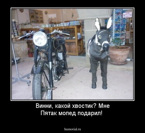 Винни, какой хвостик? Мне Пятак мопед подарил! 