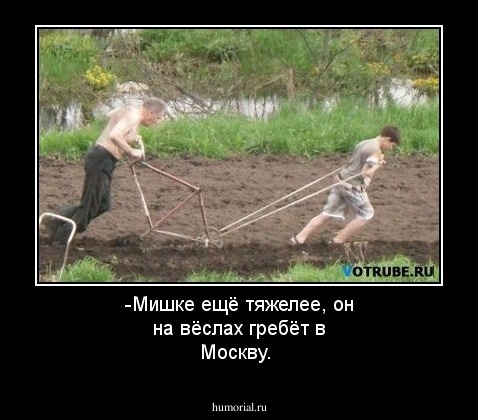 -Мишке ещё тяжелее, он  на вёслах гребёт в Москву.