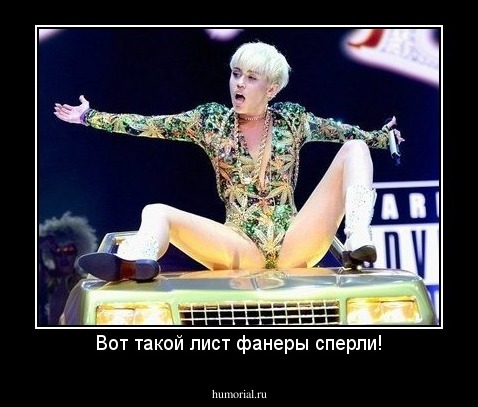 Вот такой лист фанеры сперли!