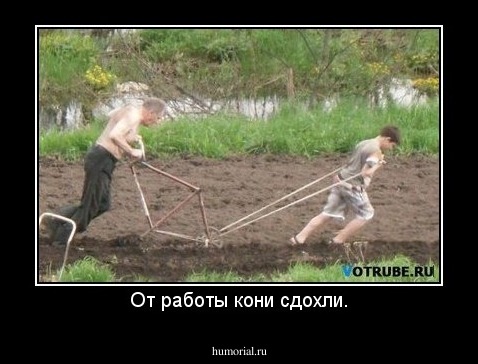 От работы кони сдохли.
