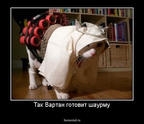 Так Вартан готовит шаурму