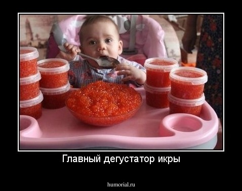 Главный дегустатор икры
