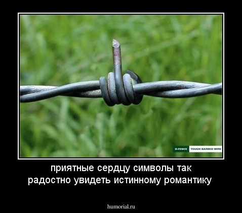 приятные сердцу символы так радостно увидеть истинному романтику