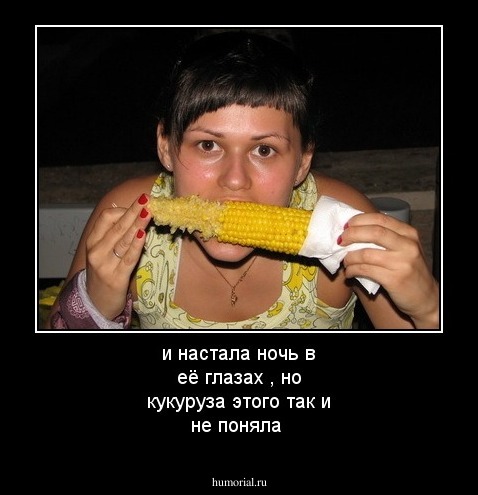 и настала ночь в её глазах , но кукуруза этого так и не поняла