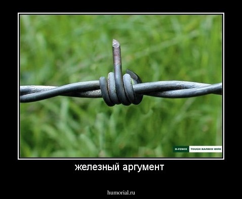 железный аргумент 