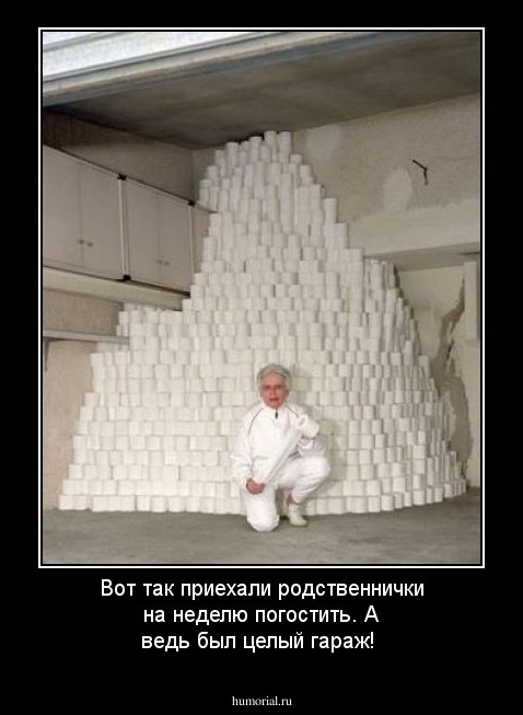 Вот так приехали родственнички на неделю погостить. А ведь был целый гараж!