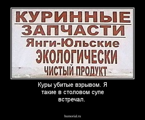 Куры убитые взрывом. Я такие в столовом супе встречал.
