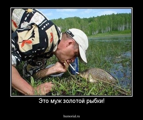 Это муж золотой рыбки!