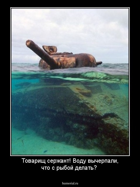 Товарищ сержант! Воду вычерпали, что с рыбой делать?