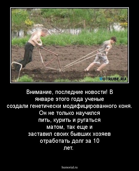 Внимание, последние новости! В январе этого года ученые создали генетически модифицированного коня. Он не только научился пить, курить и ругаться матом, так еще и заставил своих бывших хозяев отработать долг за 10 лет.