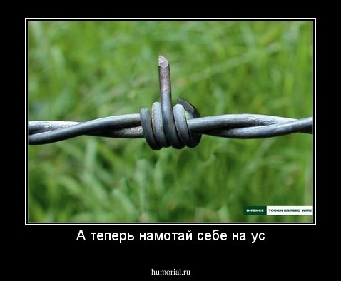 А теперь намотай себе на ус