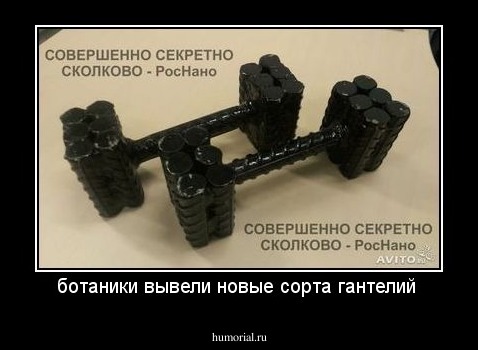 ботаники вывели новые сорта гантелий 
