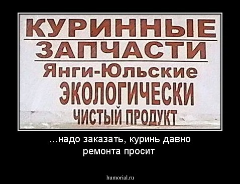 ...надо заказать, куринь давно ремонта просит