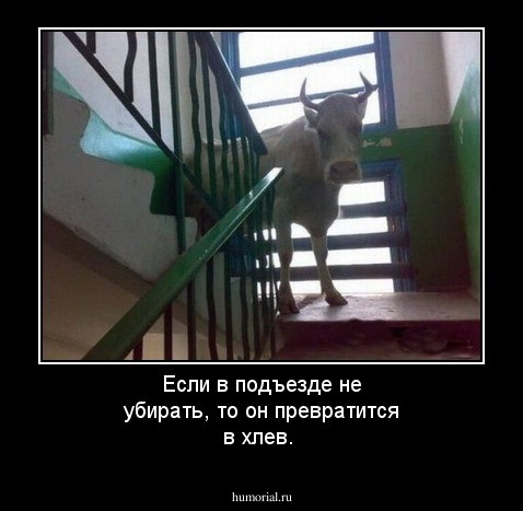 Если в подъезде не убирать, то он превратится в хлев.
