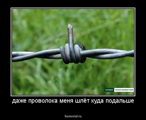 даже проволока меня шлёт куда подальше