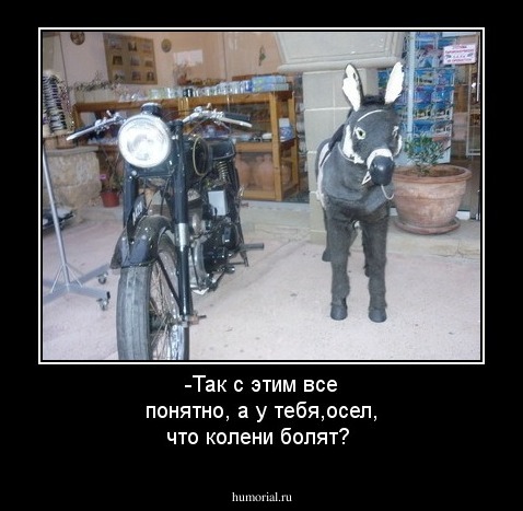 -Так с этим все понятно, а у тебя,осел, что колени болят?
