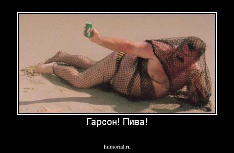 Гарсон! Пива!